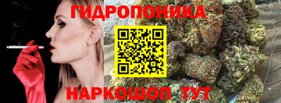 jwh Пыть-Ях